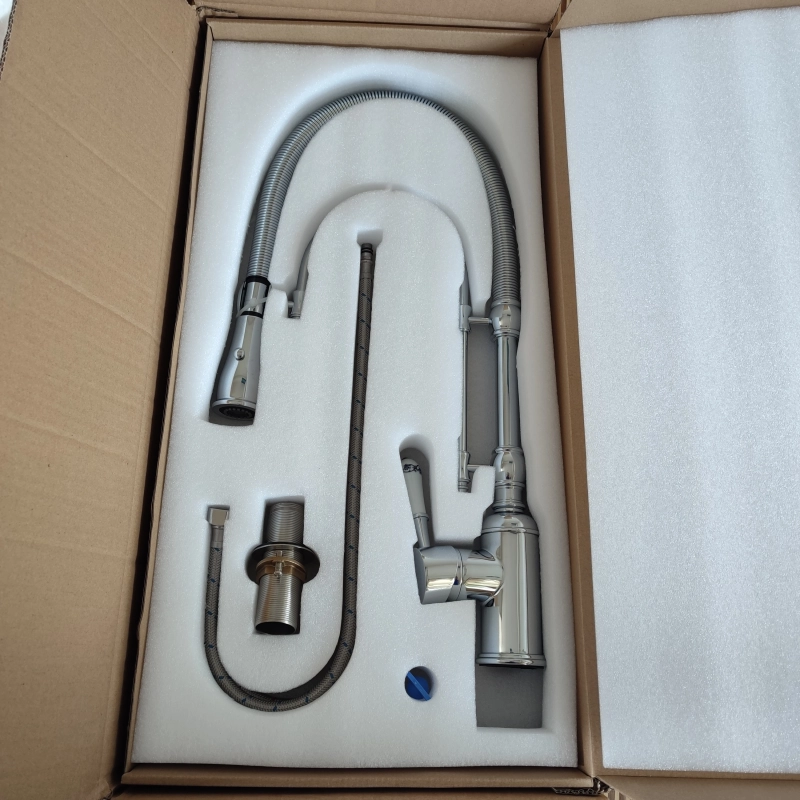 Upgrade dual outlets sliver chrome color family kitchen faucet